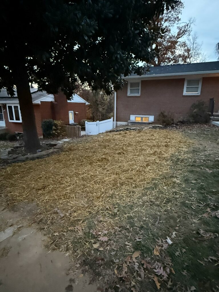 Restored yard after egress window installation in Arlington VA