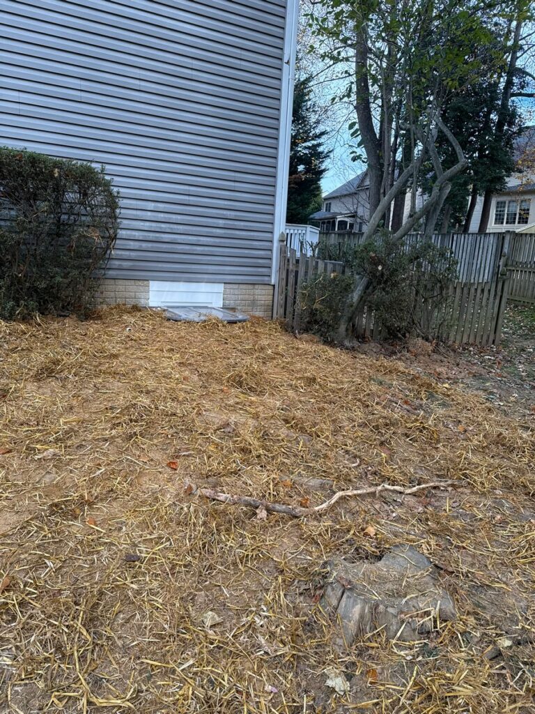 Restored yard after egress window installation in Burke VA