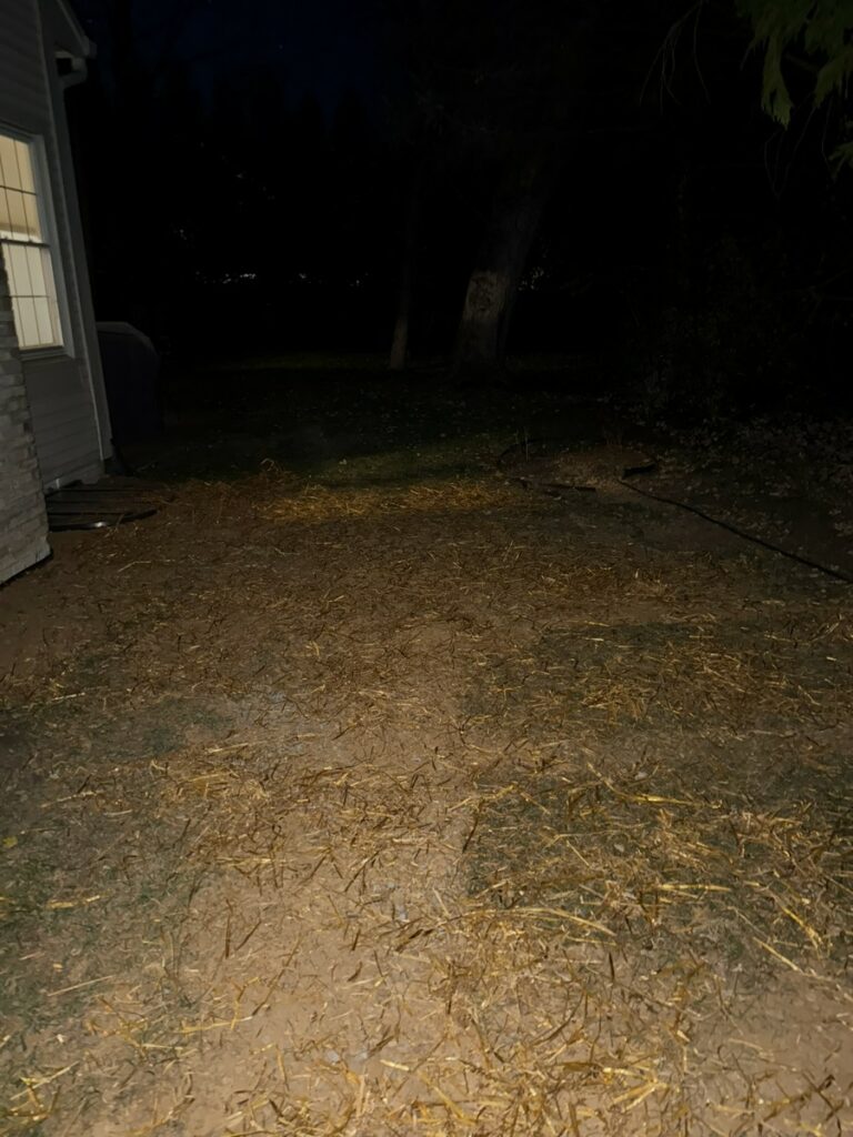 Restored yard after egress window installation in Vienna VA