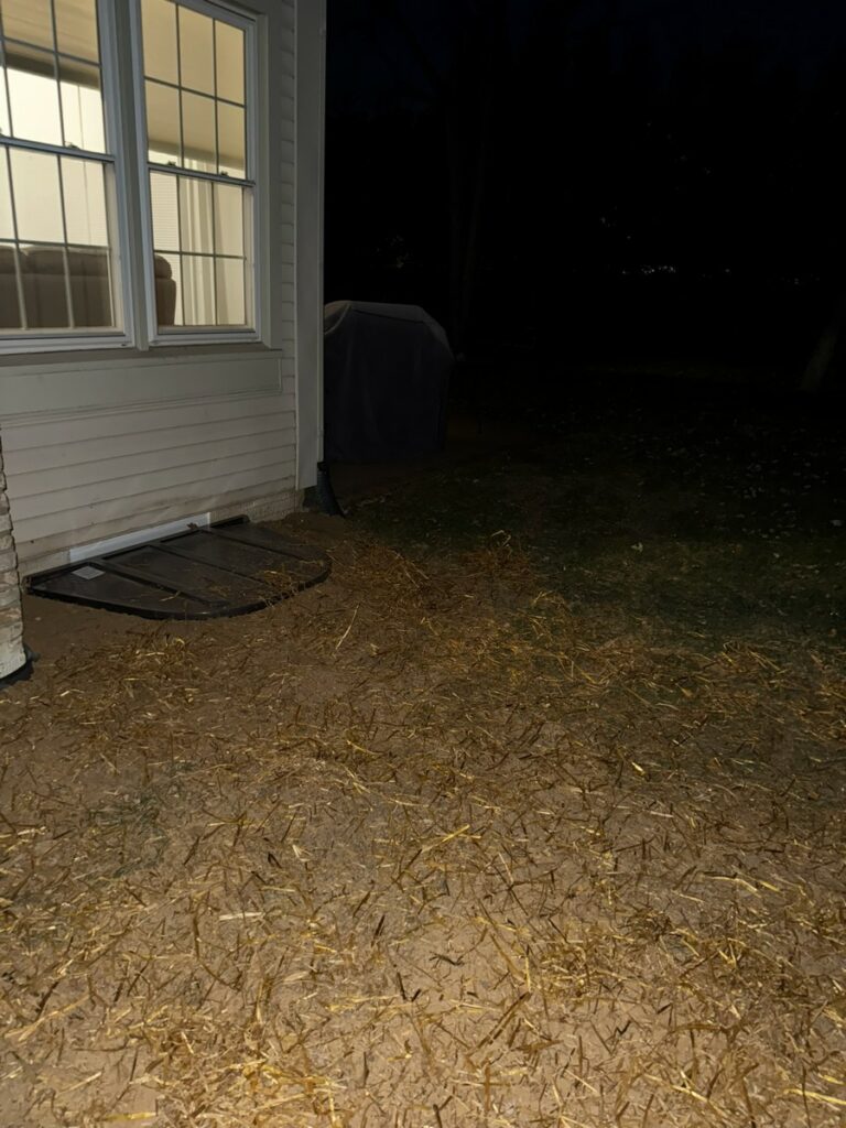 Restored yard after egress window installation in Vienna VA